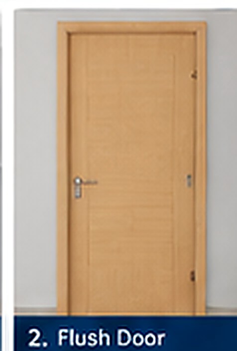 Flush Door