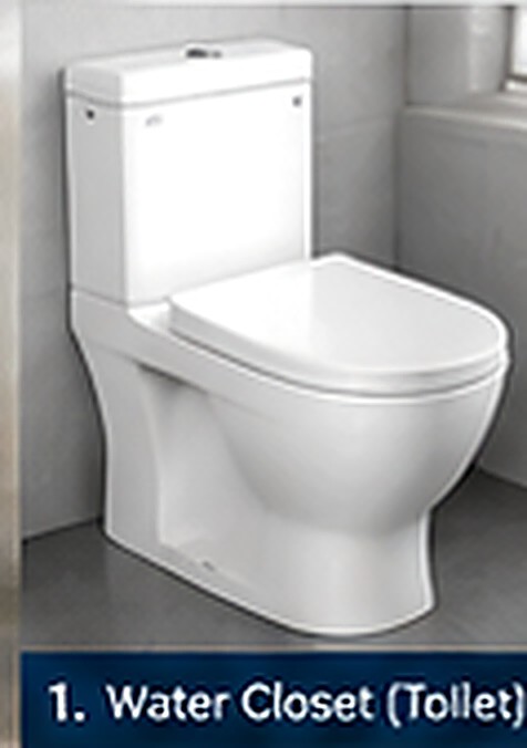 Water Closet Toilet